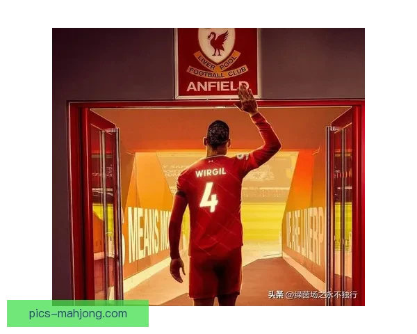 2025夏季转会窗口利物浦正式签约葡萄牙国脚中卫加强防线